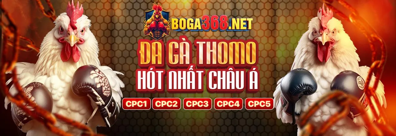 Đá Gà Trực Tuyến W88 Poker 2026