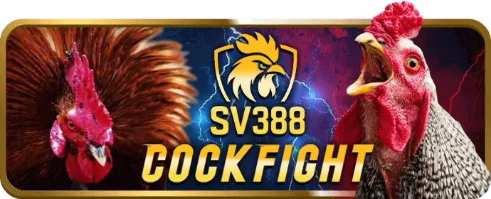 Cá cược eSports W88 Poker